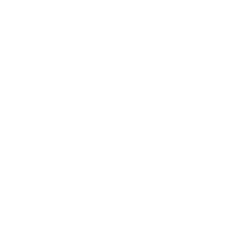 Jackson Cruises